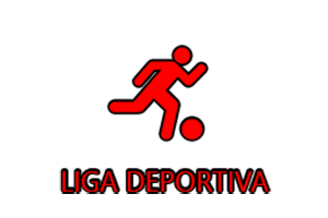 APERTURA 2018 PRIMERA FASE VARONES SERIE B